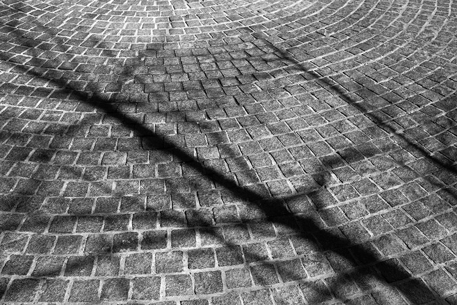 Infrared Photo of Cobbled Street with Wintry Shadow of Bare Limbed Tree.